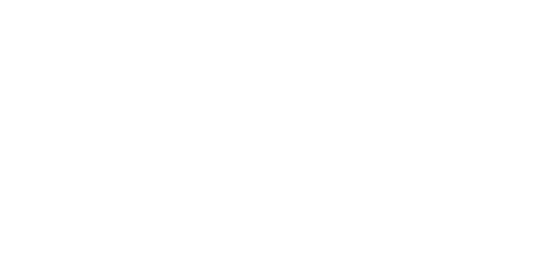 logo google cloud premier partner